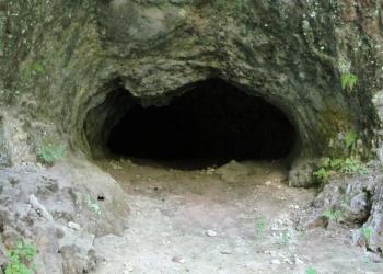 La Cueva del cerdo